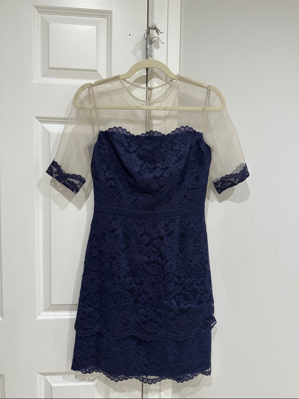Cynthia Steffe dark purple with sheer detail NWT